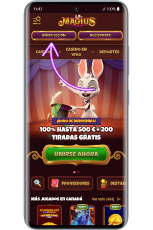 Botón de inicio de sesión en la página principal del casino