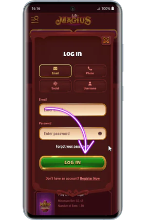 Login form with sign-up options at Magius