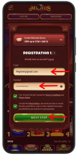 Magius Casino Enter Email and Password