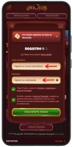 Magius Casino Ingrese su Email y contraseña