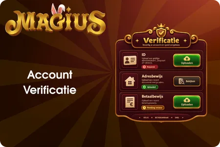 Documenten die kunnen worden gevraagd voor verificatie van een Magius-account.