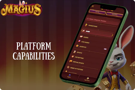 Platform capabilities Magius