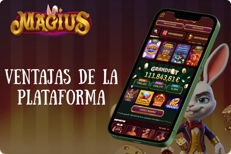 Ventajas de la plataforma Magius